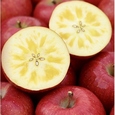 ふじ発祥地限定 サンふじ 王林 ご家庭用 14 22玉 元祖ふじりんご お礼品詳細 ふるさと納税なら さとふる