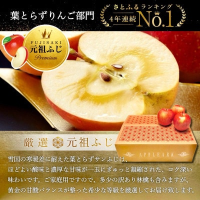 葉とらずサンふじ 大玉 約3kg(6～8玉) ご家庭用りんご(訳あり) 青森県産リンゴ 青森林檎