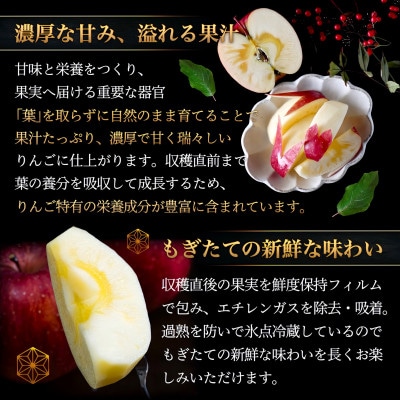 葉とらずサンふじ 大玉 約3kg(6～8玉) ご家庭用りんご(訳あり) 青森県産リンゴ 青森林檎