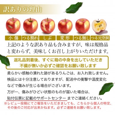 葉とらずサンふじ 大玉 約3kg(6～8玉) ご家庭用りんご(訳あり) 青森県産リンゴ 青森林檎