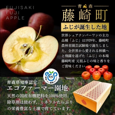 葉とらずサンふじ 大玉 約3kg(6～8玉) ご家庭用りんご(訳あり) 青森県産リンゴ 青森林檎