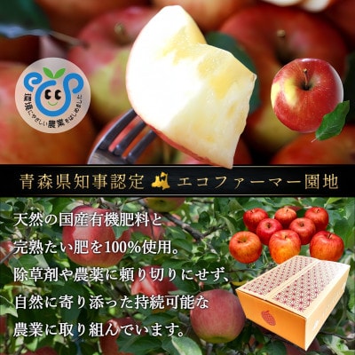 葉とらずサンふじ 大玉 約3kg(6～8玉) ご家庭用りんご(訳あり) 青森県産リンゴ 青森林檎
