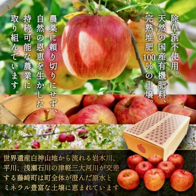葉とらずサンふじ 大玉 約3kg(6～8玉) ご家庭用りんご(訳あり) 青森県産リンゴ 青森林檎