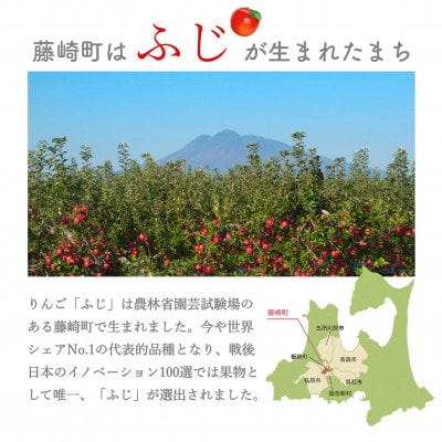 【さとふる限定】サンふじ 小玉 約5kg  ご家庭用 食べきりサイズ