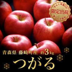 サンつがる ご家庭用 約3kg 青森りんご