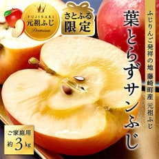 先行受付【さとふる限定】葉とらずサンふじ 約3kg ご家庭用 青森県産