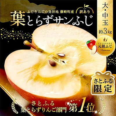 【さとふる限定】葉とらずサンふじ 約3kg ご家庭用りんご(訳あり) 青森県産リンゴ 青森林檎