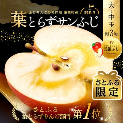 【さとふる限定】葉とらずサンふじ 約3kg ご家庭用りんご(訳あり) 青森県産リンゴ 青森林檎