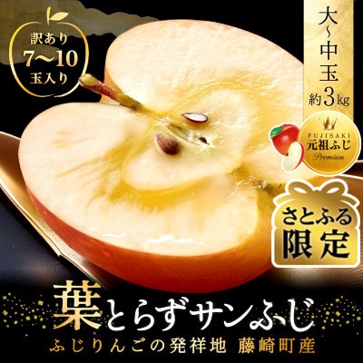 【さとふる限定】葉とらずサンふじ 約3kg ご家庭用りんご(訳あり) 青森県産リンゴ 青森林檎
