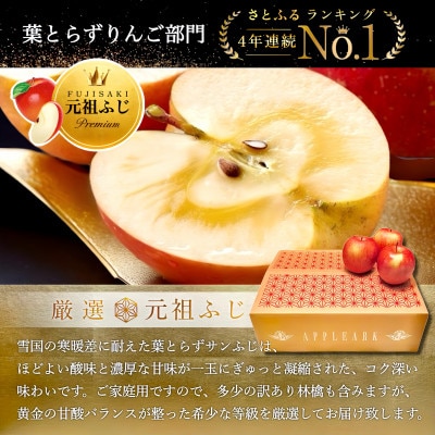 【さとふる限定】葉とらずサンふじ 約3kg ご家庭用りんご(訳あり) 青森県産リンゴ 青森林檎