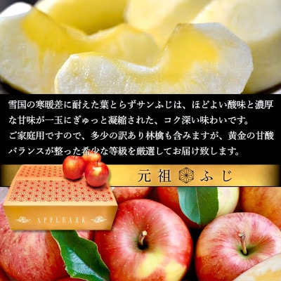 【さとふる限定】葉とらずサンふじ 約3kg ご家庭用りんご(訳あり) 青森県産リンゴ 青森林檎