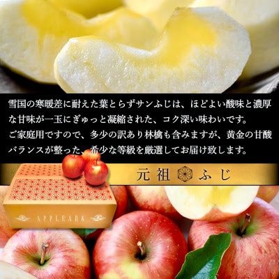 【さとふる限定】葉とらずサンふじ 約3kg ご家庭用りんご(訳あり) 青森県産リンゴ 青森林檎