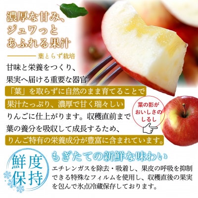 【さとふる限定】葉とらずサンふじ 約3kg ご家庭用りんご(訳あり) 青森県産リンゴ 青森林檎