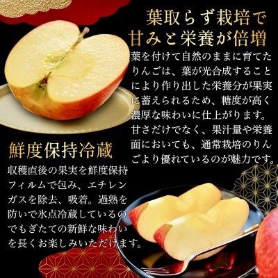 さとふる限定】葉とらずサンふじ 約3kg ご家庭用りんご(訳あり) 青森県