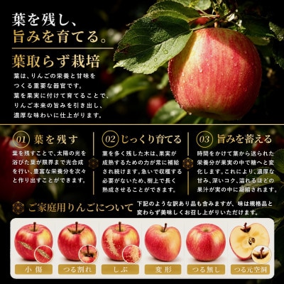 【さとふる限定】葉とらずサンふじ 約3kg ご家庭用りんご(訳あり) 青森県産リンゴ 青森林檎