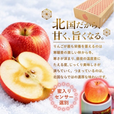 【さとふる限定】葉とらずサンふじ 約3kg ご家庭用りんご(訳あり) 青森県産リンゴ 青森林檎
