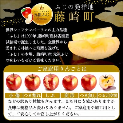 【さとふる限定】葉とらずサンふじ 約3kg ご家庭用りんご(訳あり) 青森県産リンゴ 青森林檎