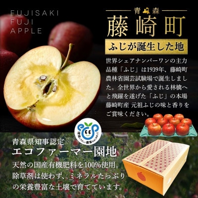 【さとふる限定】葉とらずサンふじ 約3kg ご家庭用りんご(訳あり) 青森県産リンゴ 青森林檎