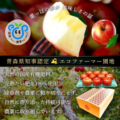 【さとふる限定】葉とらずサンふじ 約3kg ご家庭用りんご(訳あり) 青森県産リンゴ 青森林檎