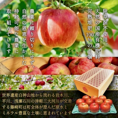 【さとふる限定】葉とらずサンふじ 約3kg ご家庭用りんご(訳あり) 青森県産リンゴ 青森林檎