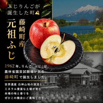 【さとふる限定】葉とらずサンふじ 約3kg ご家庭用りんご(訳あり) 青森県産リンゴ 青森林檎