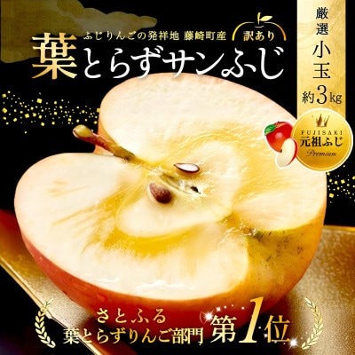 葉とらずサンふじ 厳選 小玉 約3kg ご家庭用りんご(訳あり) 青森県産リンゴ 青森林檎