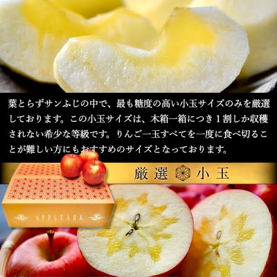 葉とらずサンふじ 厳選 小玉 約3kg ご家庭用りんご(訳あり) 青森県産リンゴ 青森林檎