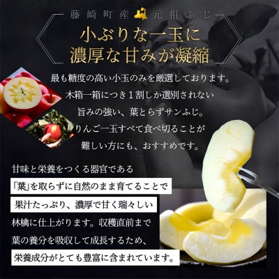 葉とらずサンふじ 厳選 小玉 約3kg ご家庭用りんご(訳あり) 青森県産リンゴ 青森林檎