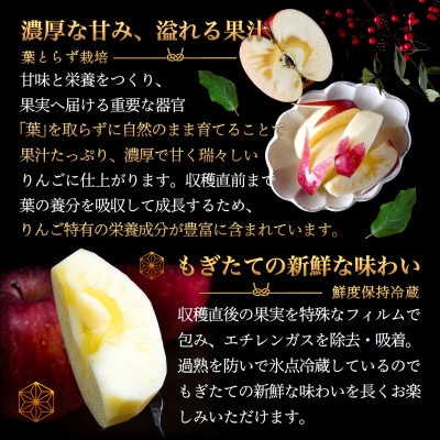 葉とらずサンふじ 厳選 小玉 約3kg ご家庭用りんご(訳あり) 青森県産リンゴ 青森林檎