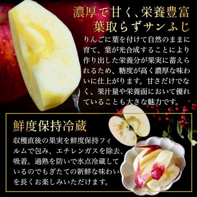 葉とらずサンふじ 厳選 小玉 約3kg ご家庭用りんご(訳あり) 青森県産リンゴ 青森林檎