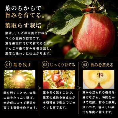 葉とらずサンふじ 厳選 小玉 約3kg ご家庭用りんご(訳あり) 青森リンゴ 青森林檎