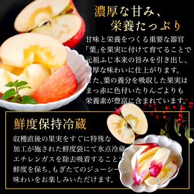 葉とらずサンふじ 厳選 小玉 約3kg ご家庭用りんご(訳あり) 青森県産リンゴ 青森林檎