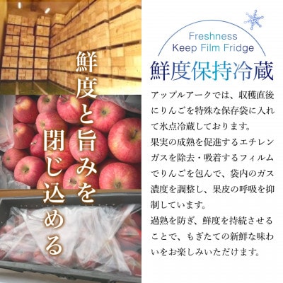 葉とらずサンふじ 厳選 小玉 約3kg ご家庭用りんご(訳あり) 青森県産リンゴ 青森林檎