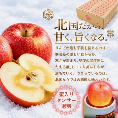 葉とらずサンふじ 厳選 小玉 約3kg ご家庭用りんご(訳あり) 青森リンゴ 青森林檎