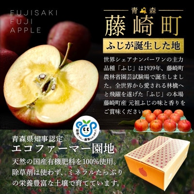 葉とらずサンふじ 厳選 小玉 約3kg ご家庭用りんご(訳あり) 青森県産リンゴ 青森林檎