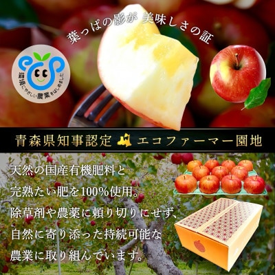 葉とらずサンふじ 厳選 小玉 約3kg ご家庭用りんご(訳あり) 青森県産リンゴ 青森林檎