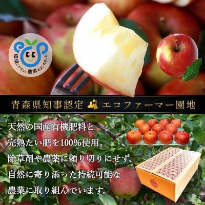 葉とらずサンふじ 厳選 小玉 約3kg ご家庭用りんご(訳あり) 青森県産リンゴ 青森林檎