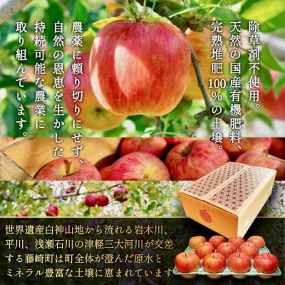 葉とらずサンふじ 厳選 小玉 約3kg ご家庭用りんご(訳あり) 青森県産リンゴ 青森林檎