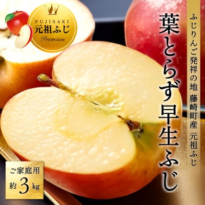 [先行受付] ふじ発祥地 葉とらず早生ふじ 約3kg 訳ありりんご 青森林檎