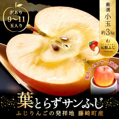 [年明け発送] 葉とらずサンふじ 厳選 小玉 約3kg ご家庭用りんご(訳あり) 青森リンゴ 林檎