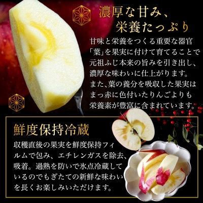 [年明け発送] 葉とらずサンふじ 厳選 小玉 約3kg ご家庭用りんご(訳あり) 青森リンゴ 林檎