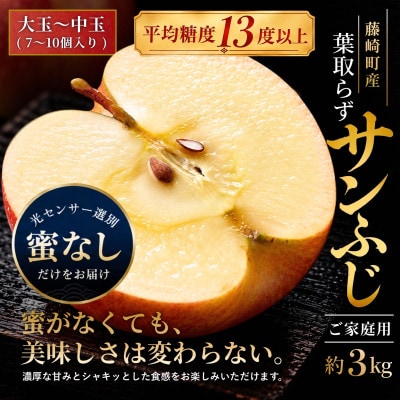 【蜜なし】葉とらずサンふじ 約3kg ご家庭用りんご(訳あり)大玉～中玉 青森県産