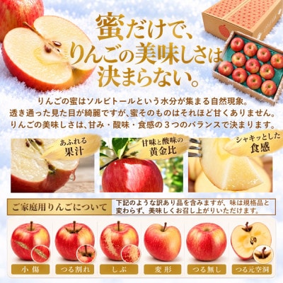 【蜜なし】葉とらずサンふじ 約3kg ご家庭用りんご(訳あり)大玉～中玉 青森県産