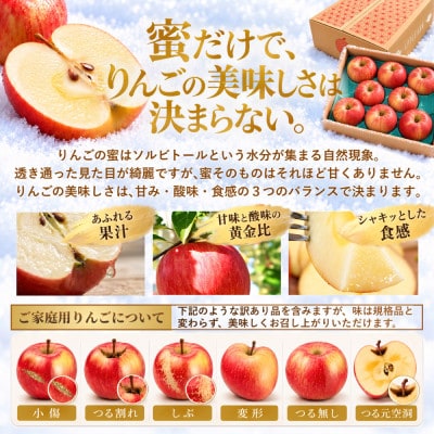 【蜜なし】葉とらずサンふじ 約3kg ご家庭用りんご(訳あり)大玉 青森県産