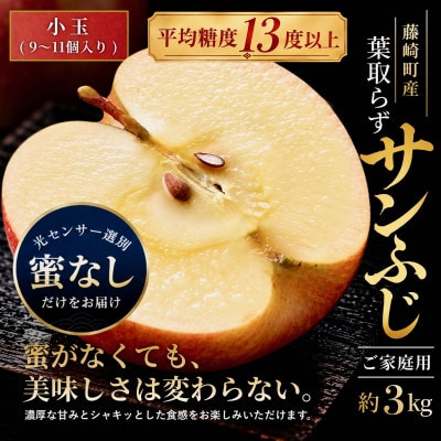 【蜜なし】葉とらずサンふじ 約3kg ご家庭用りんご(訳あり)小玉 青森県産