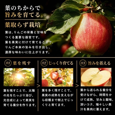 【蜜なし】葉とらずサンふじ 約3kg ご家庭用りんご(訳あり)小玉 青森県産