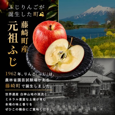 【蜜なし】葉とらずサンふじ 約3kg ご家庭用りんご(訳あり)小玉 青森県産