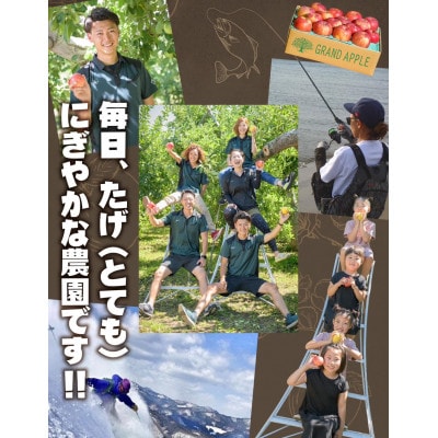 【年明け発送】「王」がついたりんご「王林」訳あり約10kg