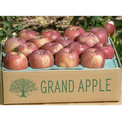 皮ごとバリッ!葉とらずサンふじ特A 約5kg(13~20個入り)
