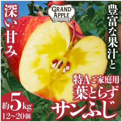 皮ごとバリッ!葉とらずサンふじ特A　約5kg(12～20個入り)